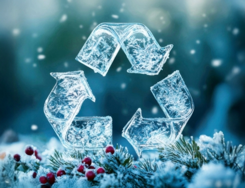 Why Cleaning Food Packaging Trays Matters More Than You Think