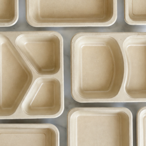 Food Packaging - food packing trays